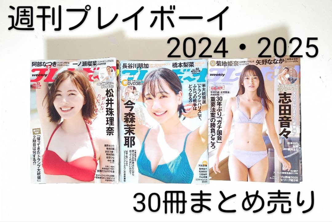 「週刊プレイボーイ2024・2025」30冊まとめ売り(No.33～18)集英社