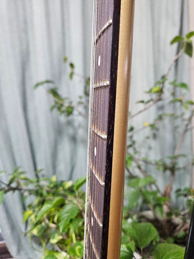 Momose MJS1-STD/R SWH 【春巻きチーズ】