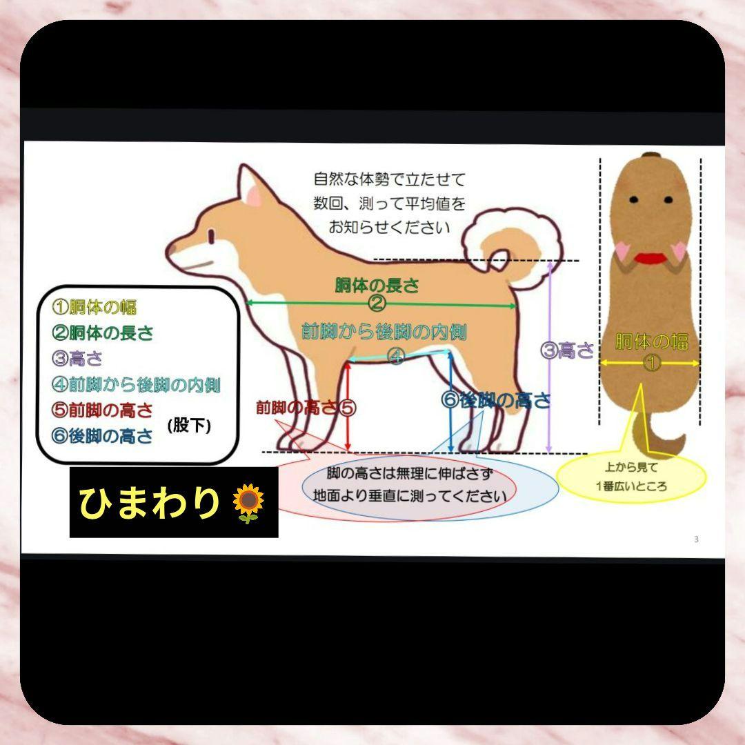マユママ　トイプー4輪　リハビリ　食事補助　犬用車椅子　介護用　犬の歩行器
