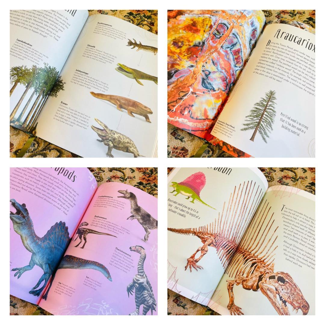 新品洋書　教養教育　博物館　辞書　辞典　恐竜　ダイナソー　Dinosaur