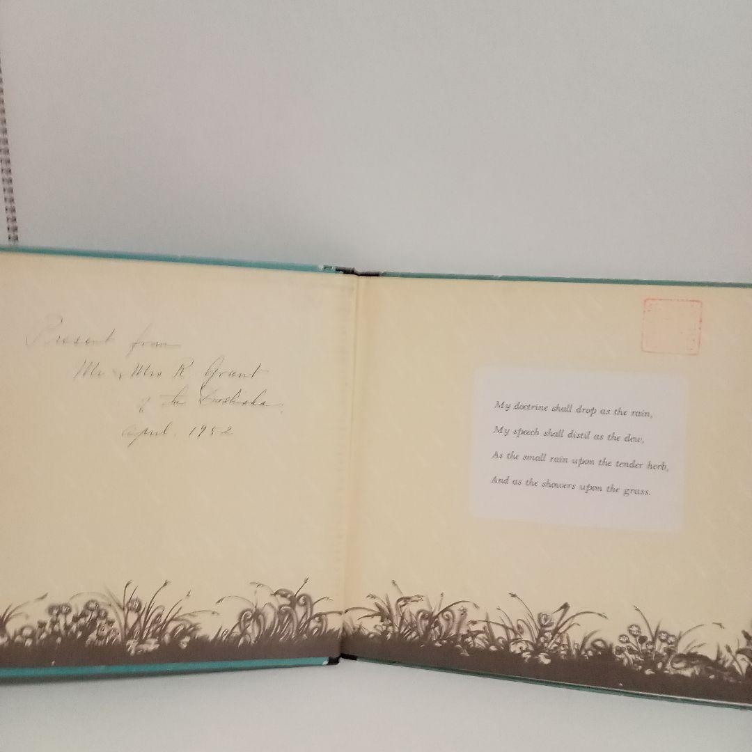洋書絵本「小さな雨:聖書の一節」