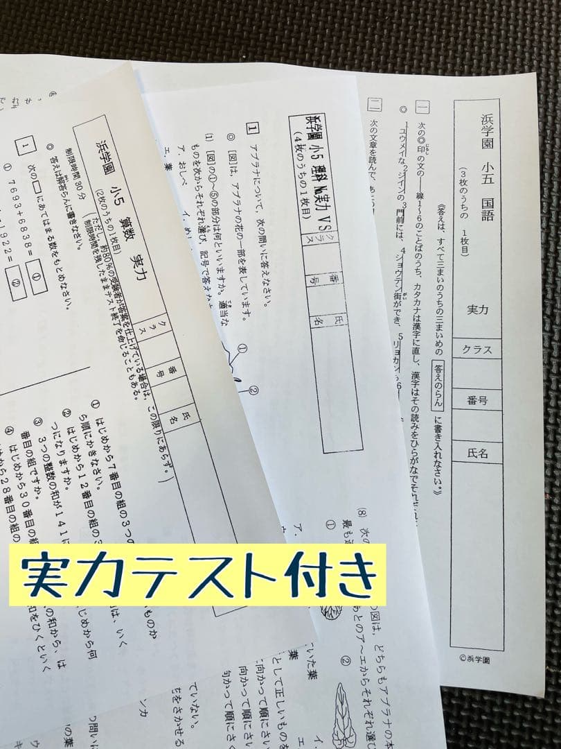 2023年、2024年度 浜学園 小5 公開学力テスト 2年分 4科目