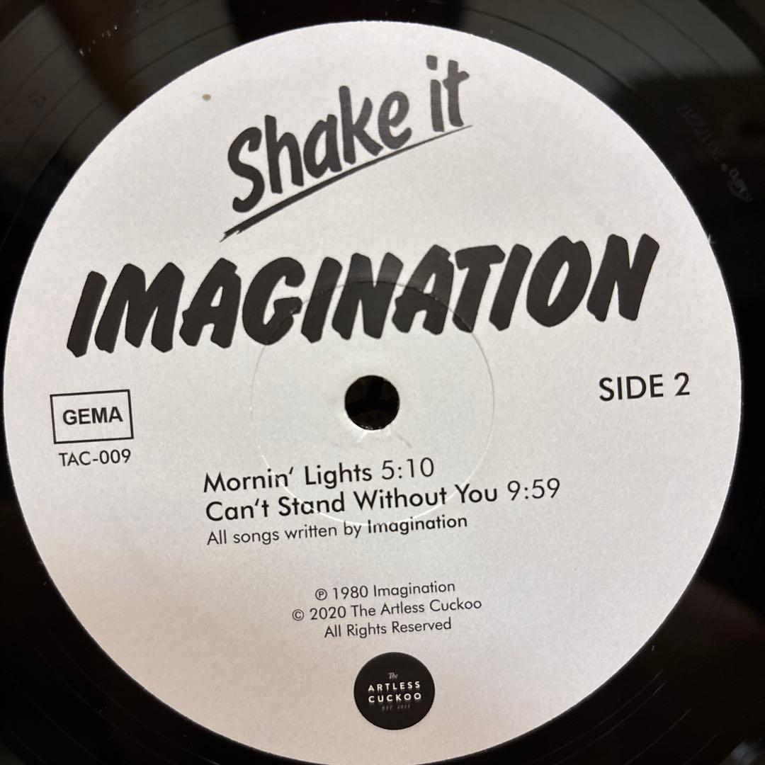 Imagination Shake It レコード LP vinyl アナログ