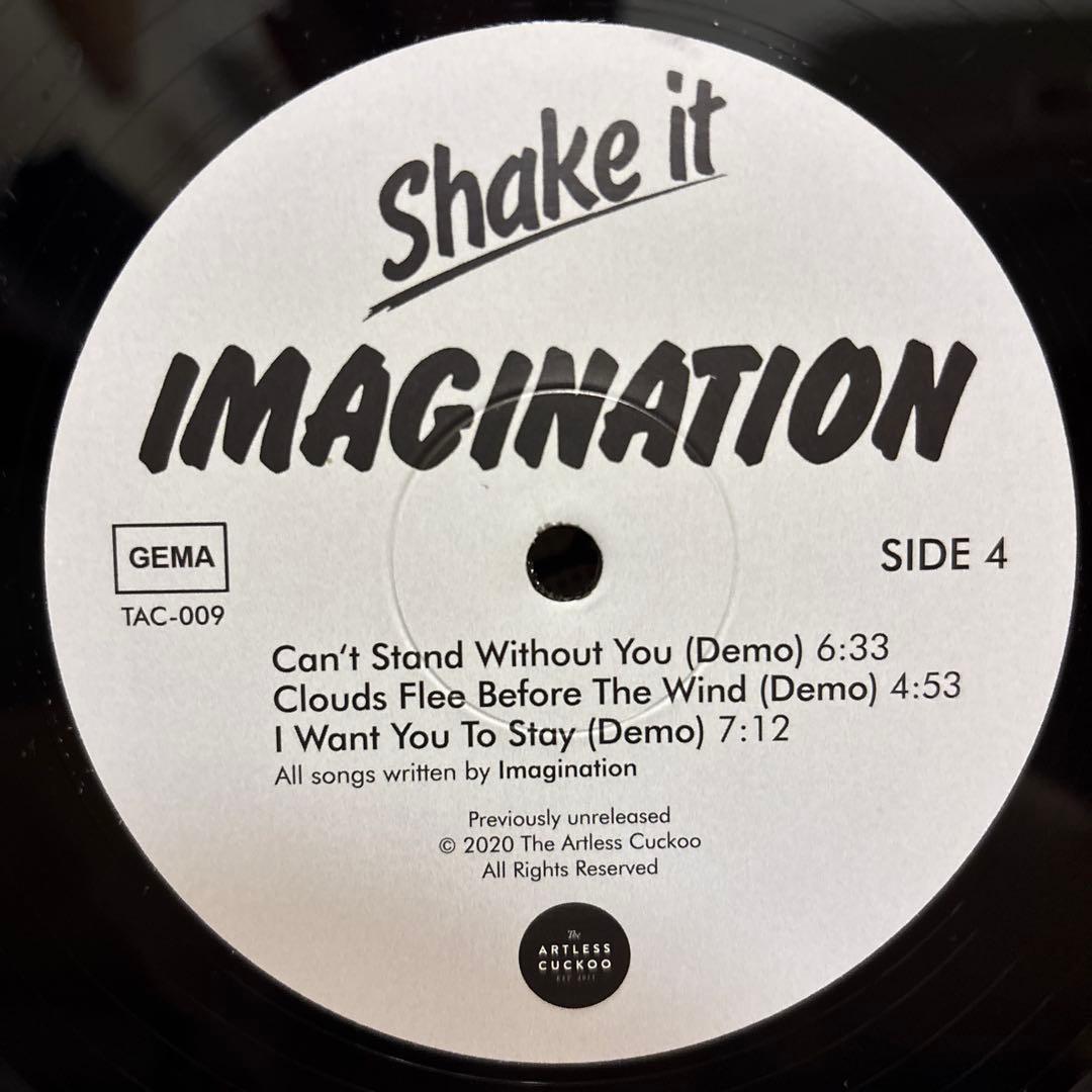Imagination Shake It レコード LP vinyl アナログ