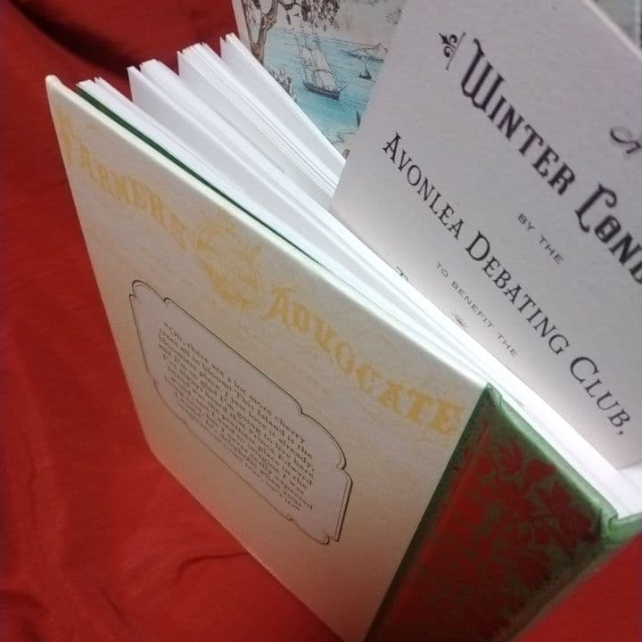 Anne of Green Gables✨サプライズ・ポケット頁がさらに魅力❣️