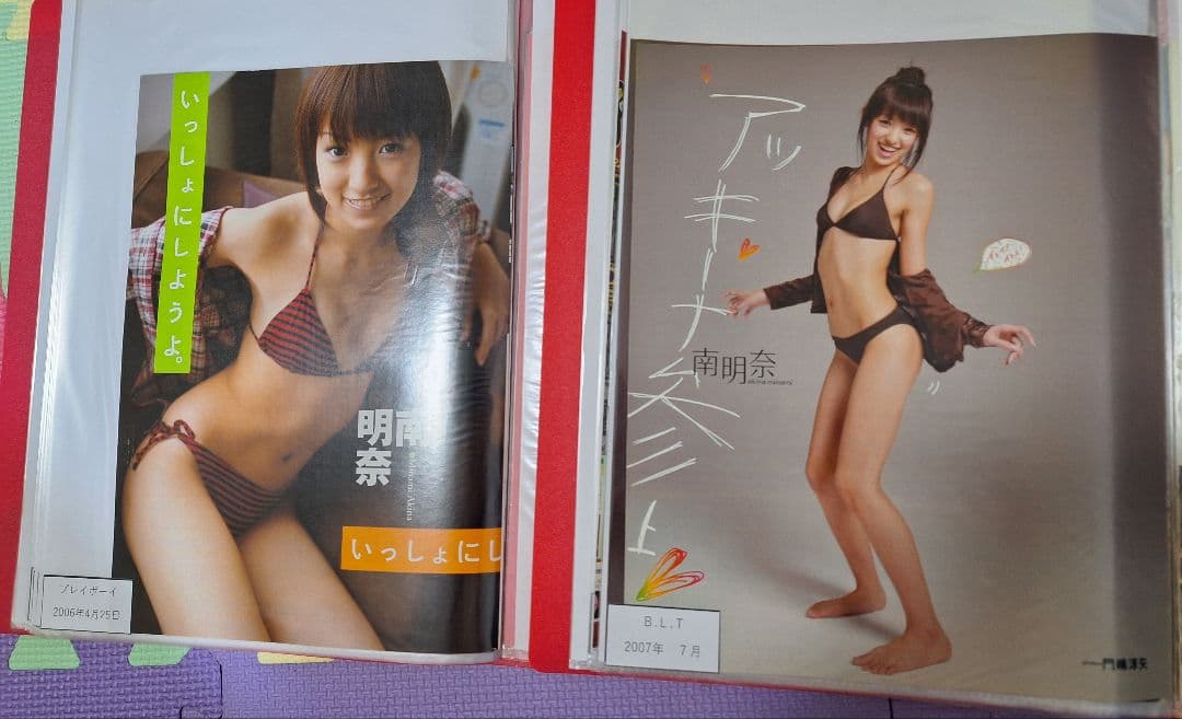 南明奈(1冊200円計算)42冊分125ページ切り抜きしファイリング済み